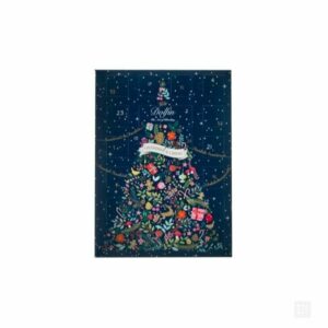 Calendrier de l'avent chocolat 2021 Dolfin