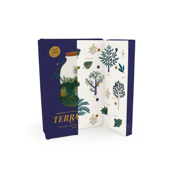 Calendrier de l'Avent DIY Nature et Découvertes Terrarium 2021
