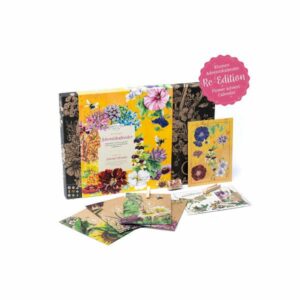 Calendrier de l'Avent original 2021 avec des semences de fleurs