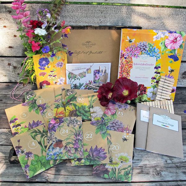 Calendrier de l'Avent original 2021 avec des semences de fleurs