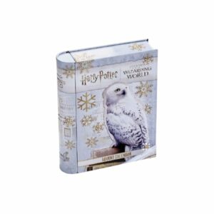 Calendrier de l'Avent Harry Potter 2022 Hedwige bijoux