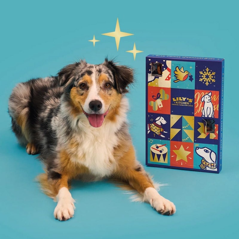 Calendrier de l'avent pour chien 2023 Lily's Kitchen friandise animal