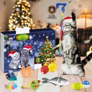 coffret pour animal calendrier de l'avent jouets chat jeux animaux