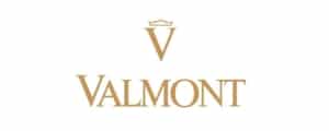 logo valmont